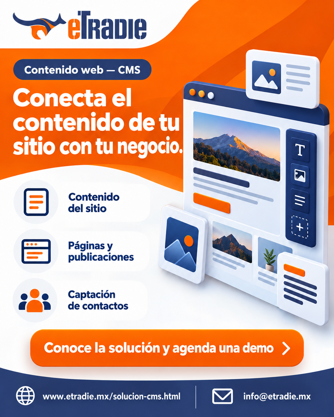 Brochure de Contenido web — CMS